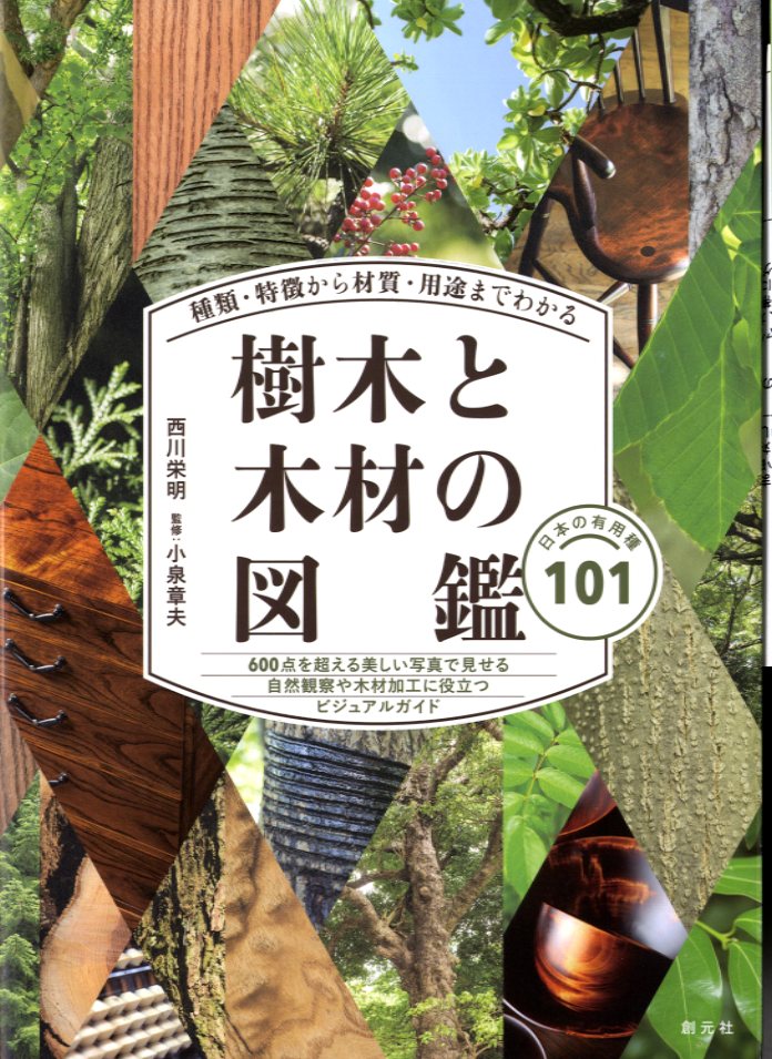 樹木と木材の図鑑　日本の有用種101