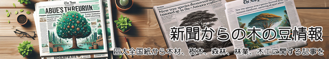 新聞からの木の豆情報