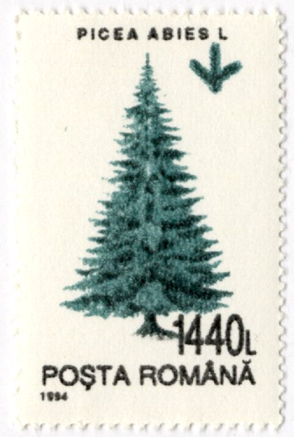 white wood切手