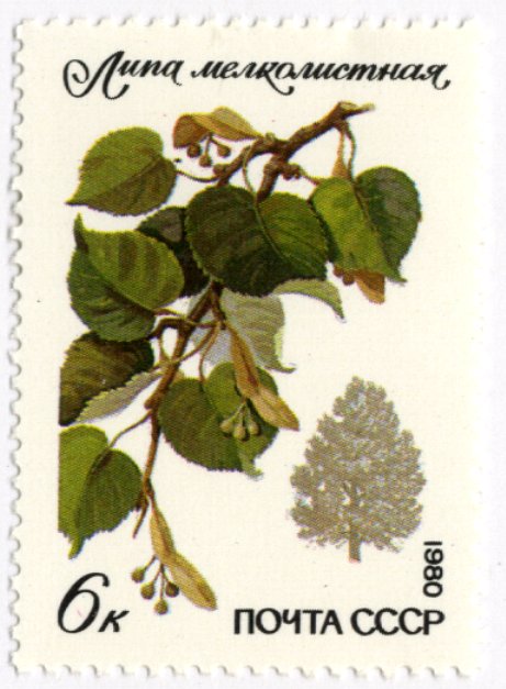 通販 ソビエト 樹木の実の切手5種完 未使用 1980