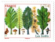 フランス・ヨーロッパ・国際森林年