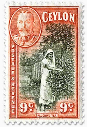 茶畑の切手の切手