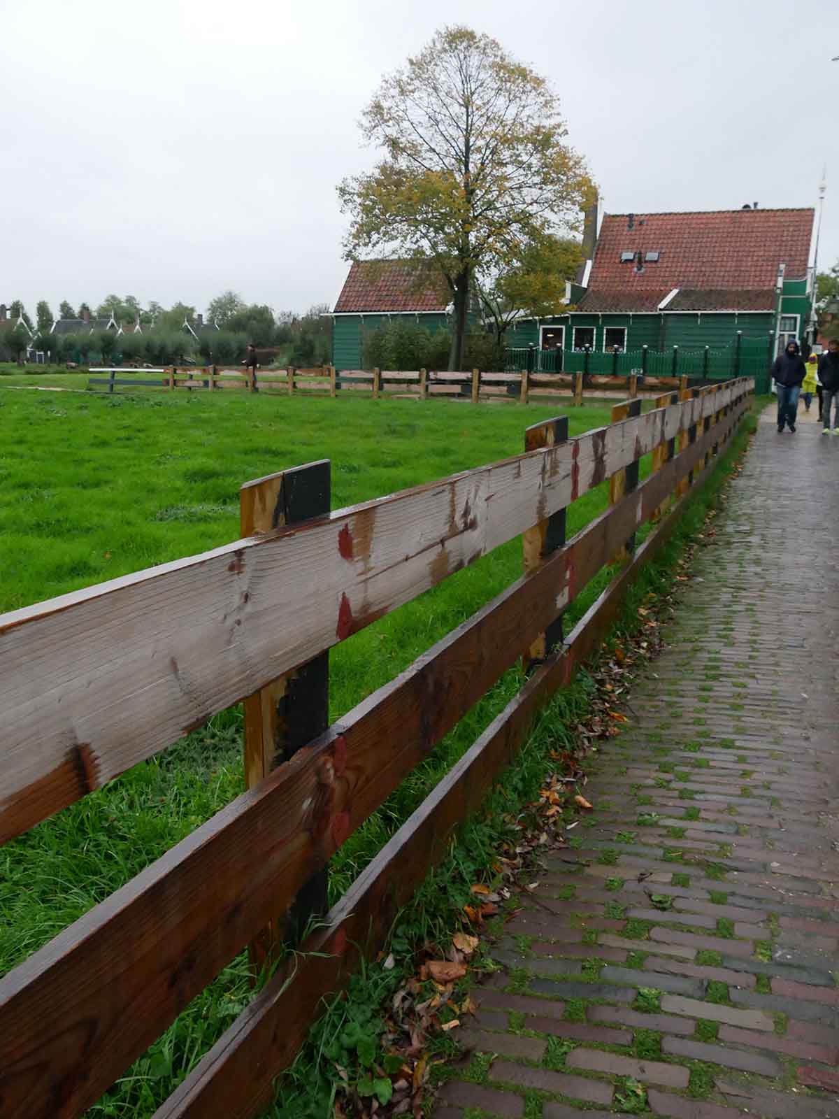 オランダの木のフェンス