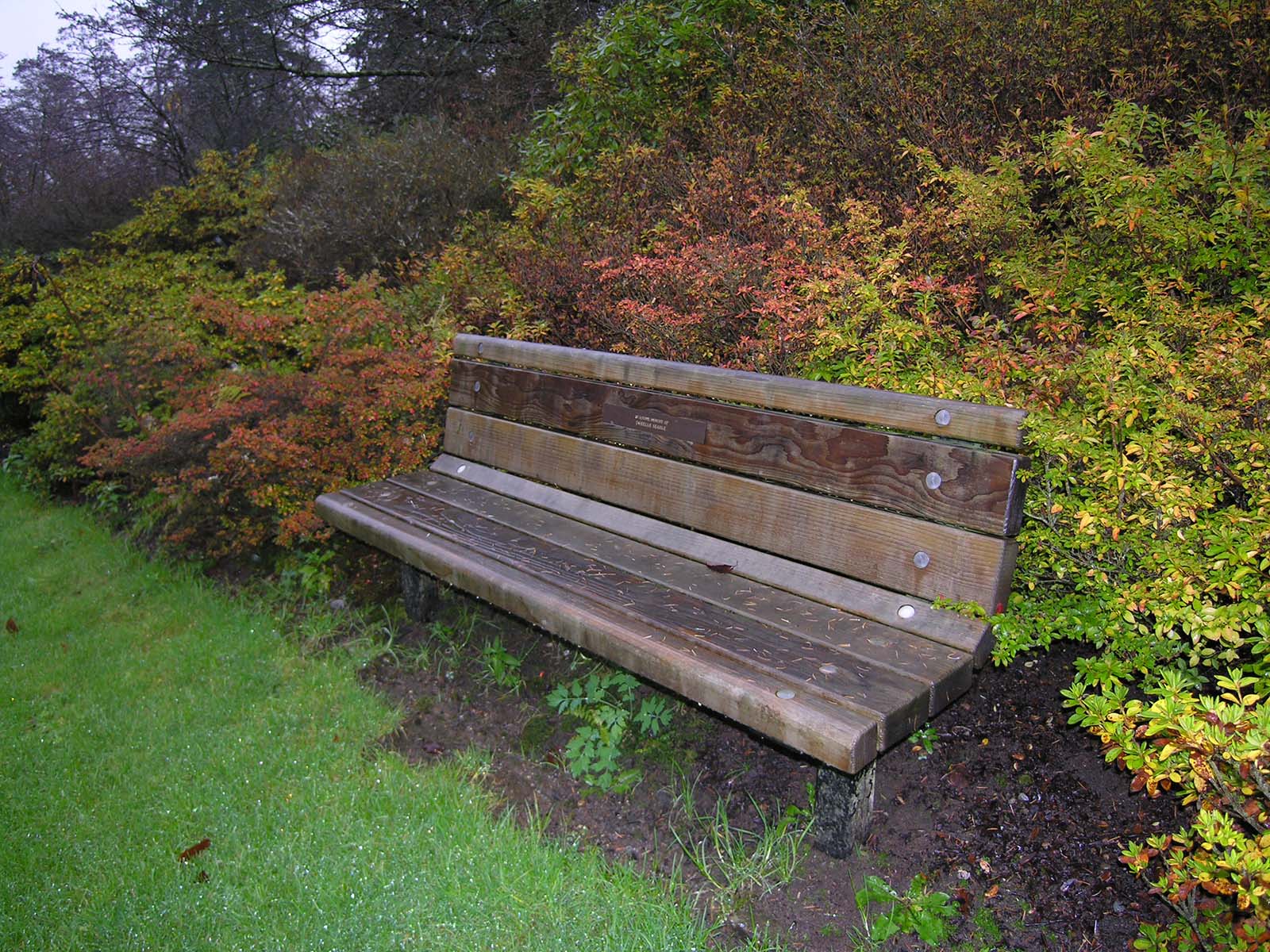 カナダ・バンクーバーの植物園のベンチ