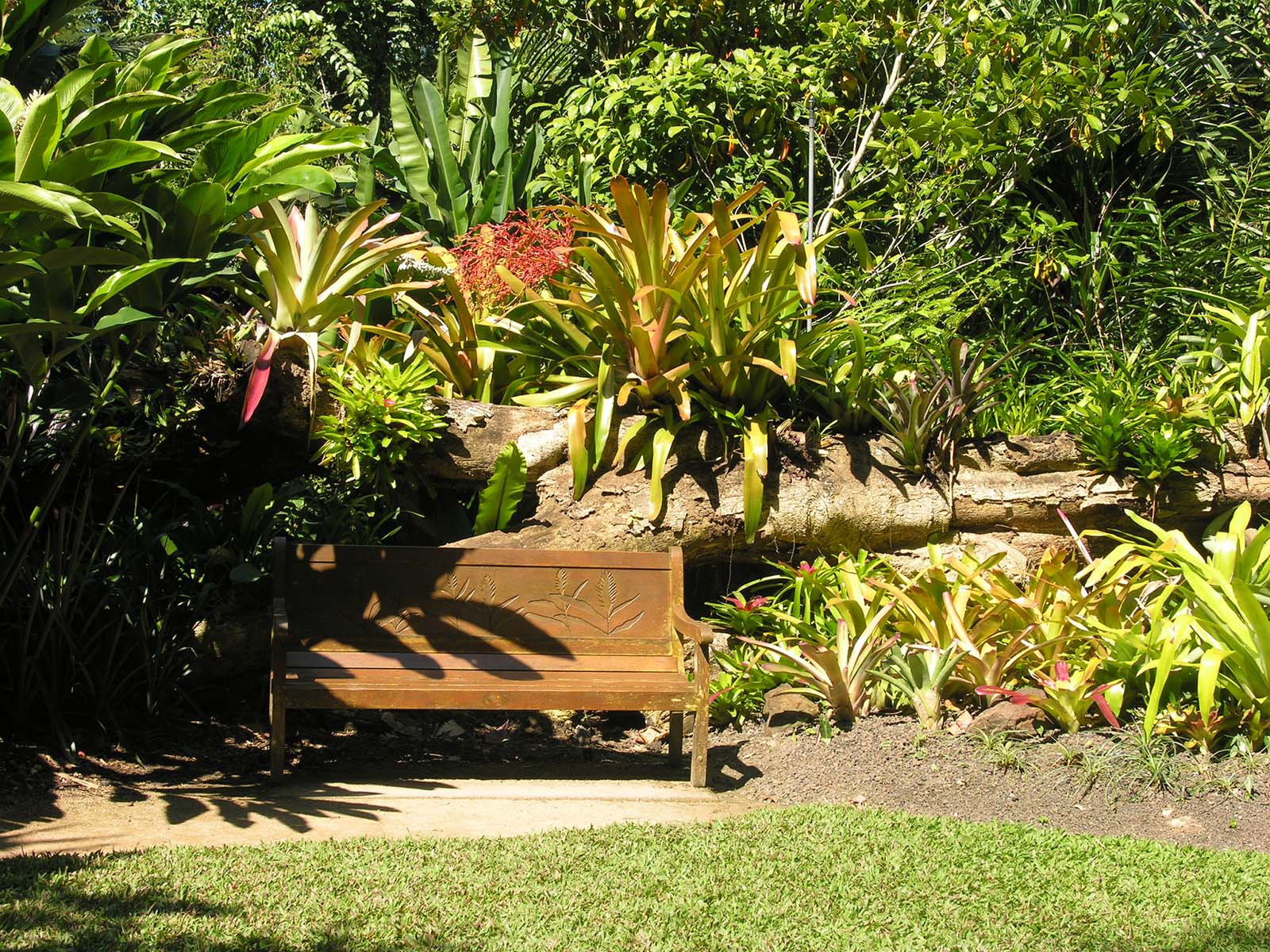 フッカー植物園のベンチ