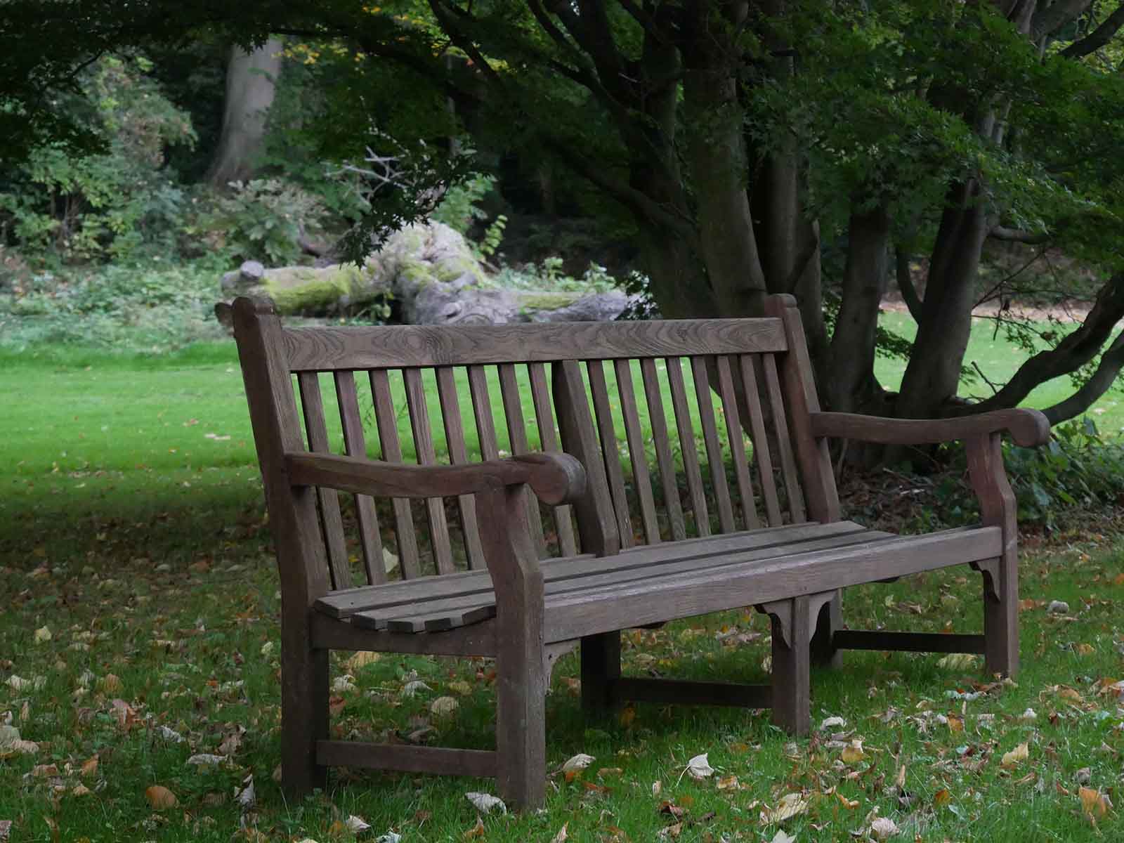 フッカー植物園のベンチ