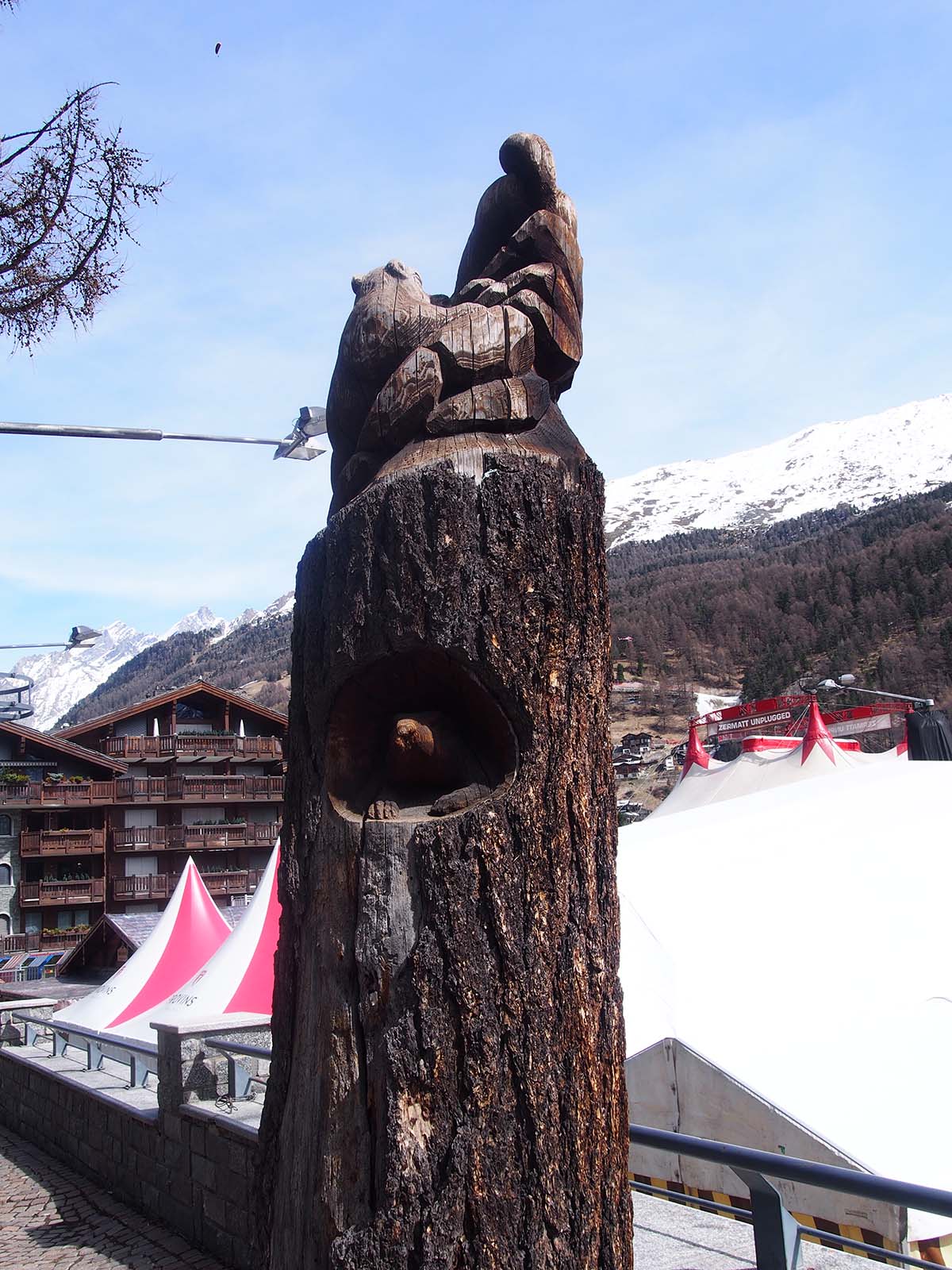 立木のモニュメント　スイス