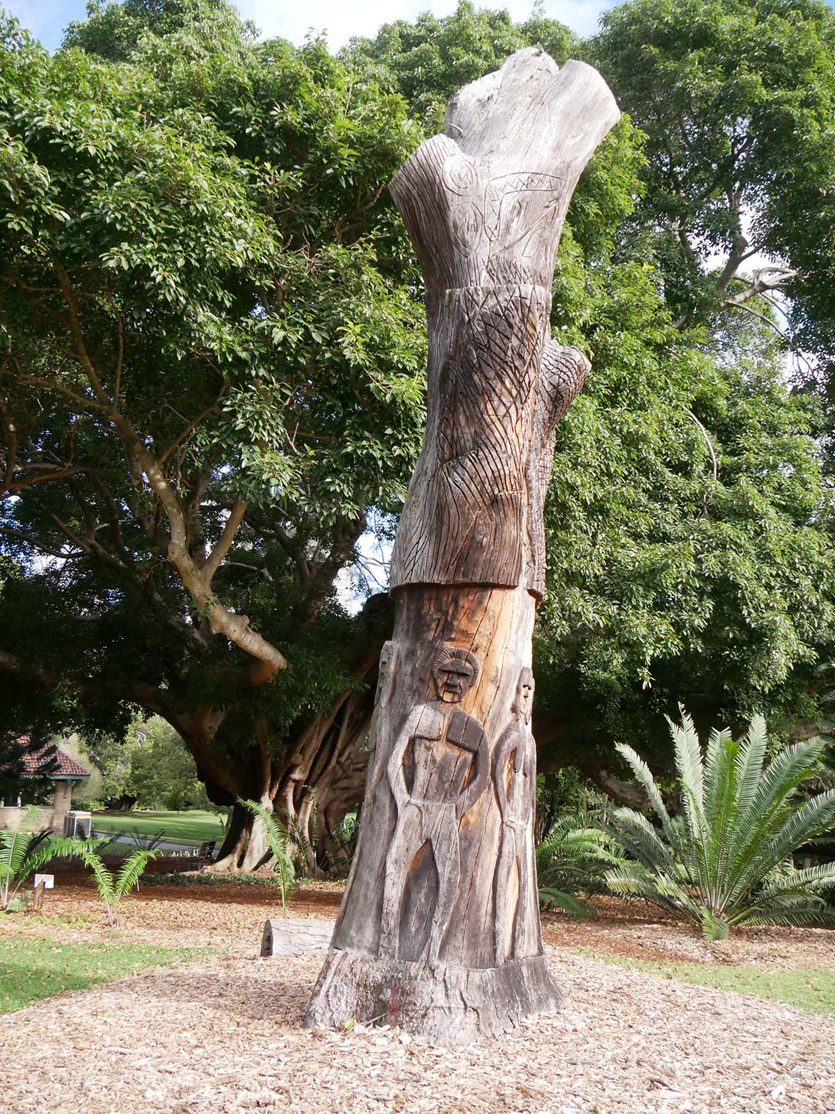 立木のモニュメント　シドニー