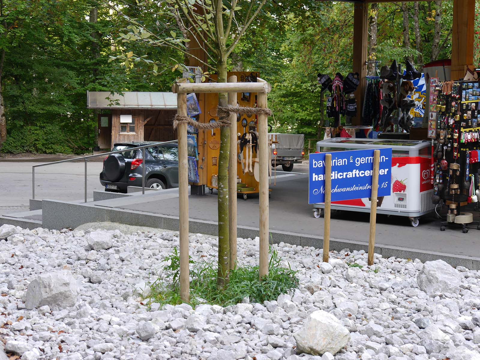 街路樹の添木　ドイツ　2013年