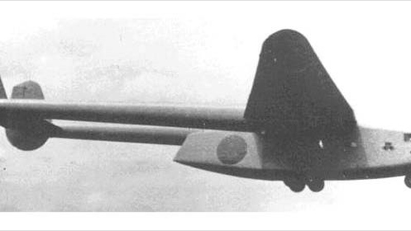 木製飛行機 (戦闘機Ｆ-15Ｊ)