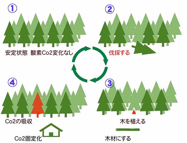 木の性質イメージ