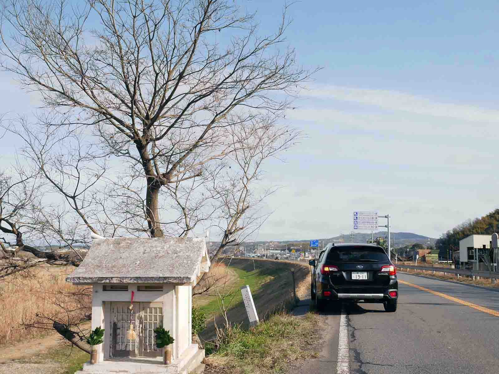 木津川堤防沿の国道のエノキ