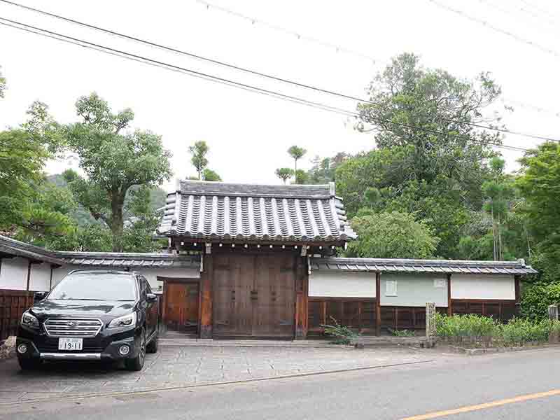 上賀茂神社のムクノキ