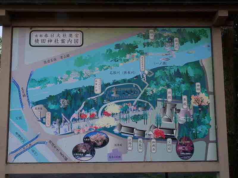 積田神社のイチヨウ