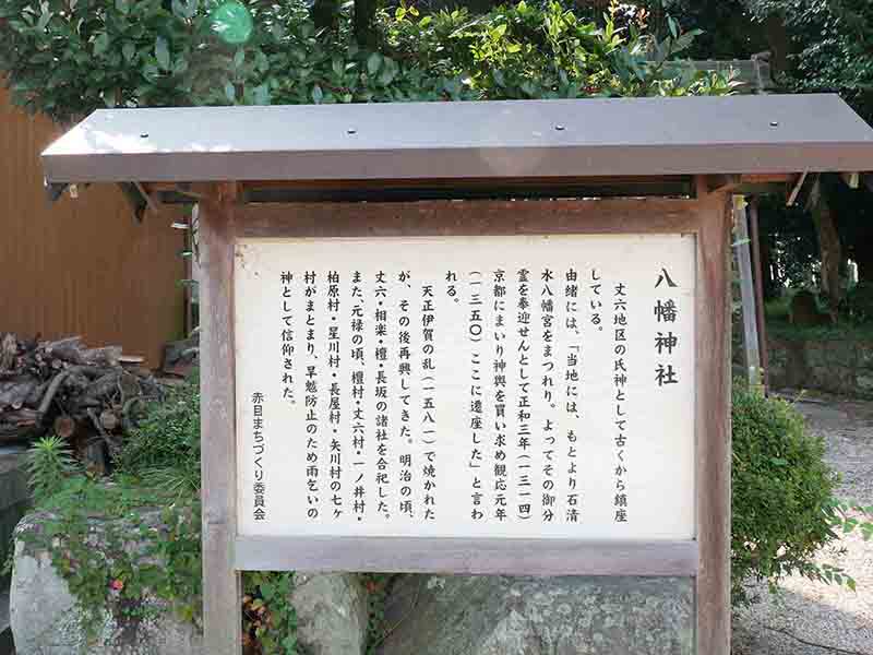 丈六八幡神社の大ケヤキ