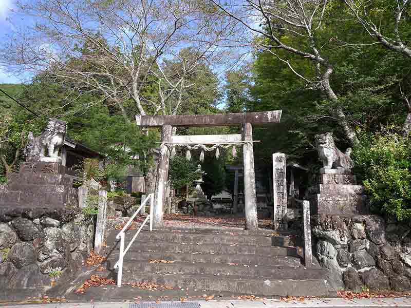 荻原神社のイチイガシ