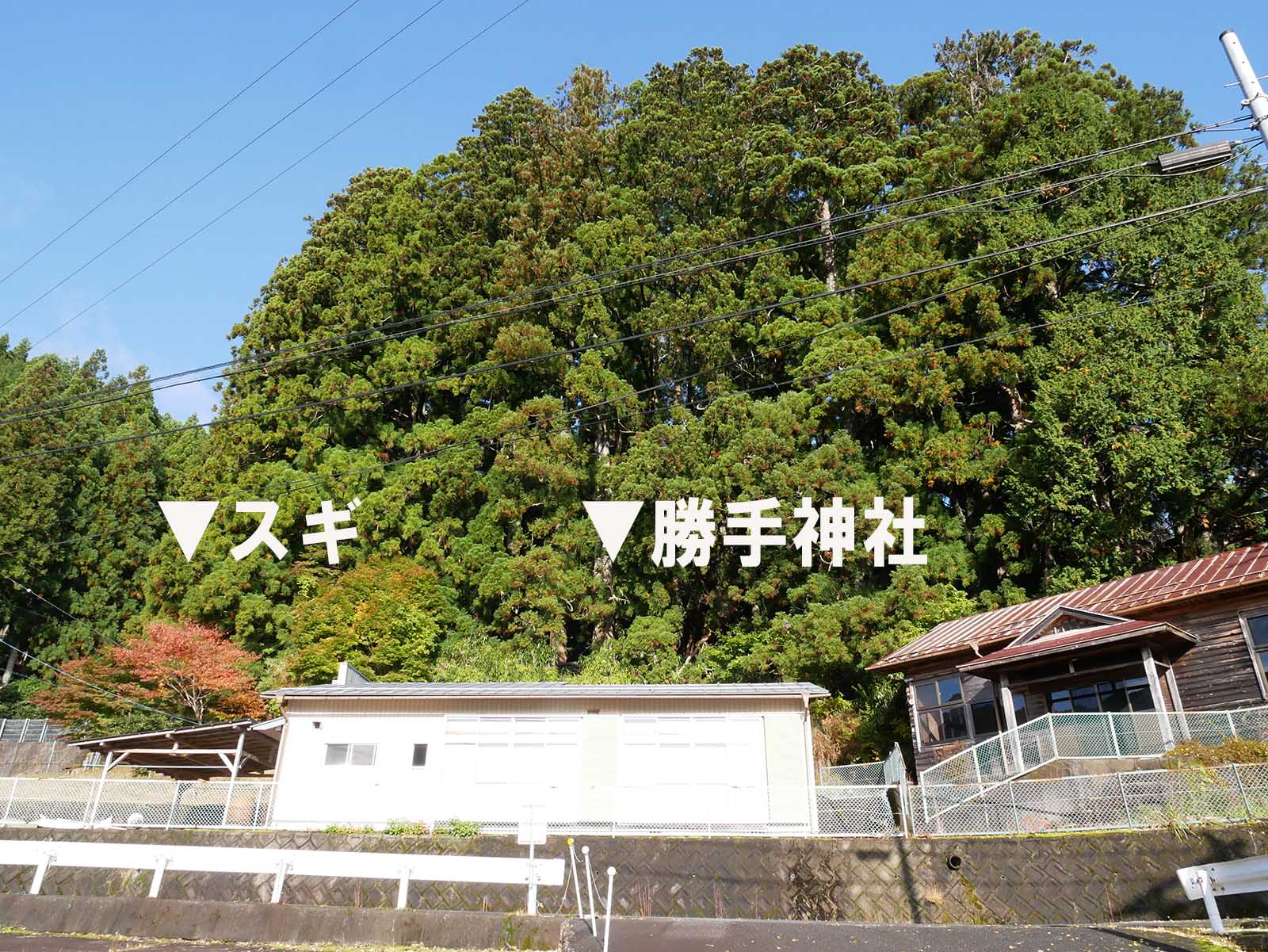 野迫川勝手神社の場所