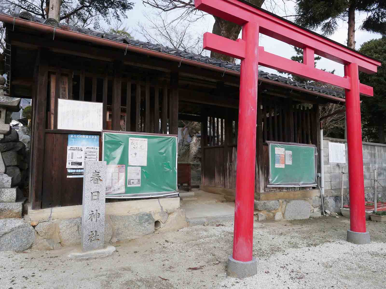 佐田春日神社のムクノキ