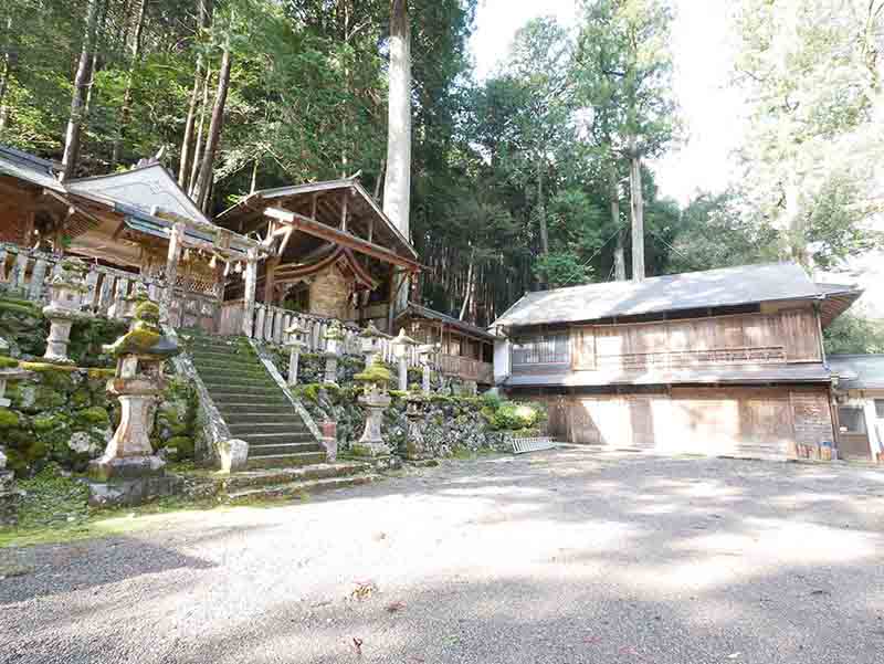烏川神社の第二スギ 