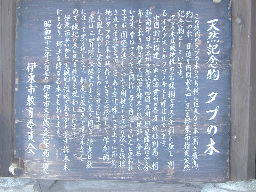 音無神社のタブの木看板