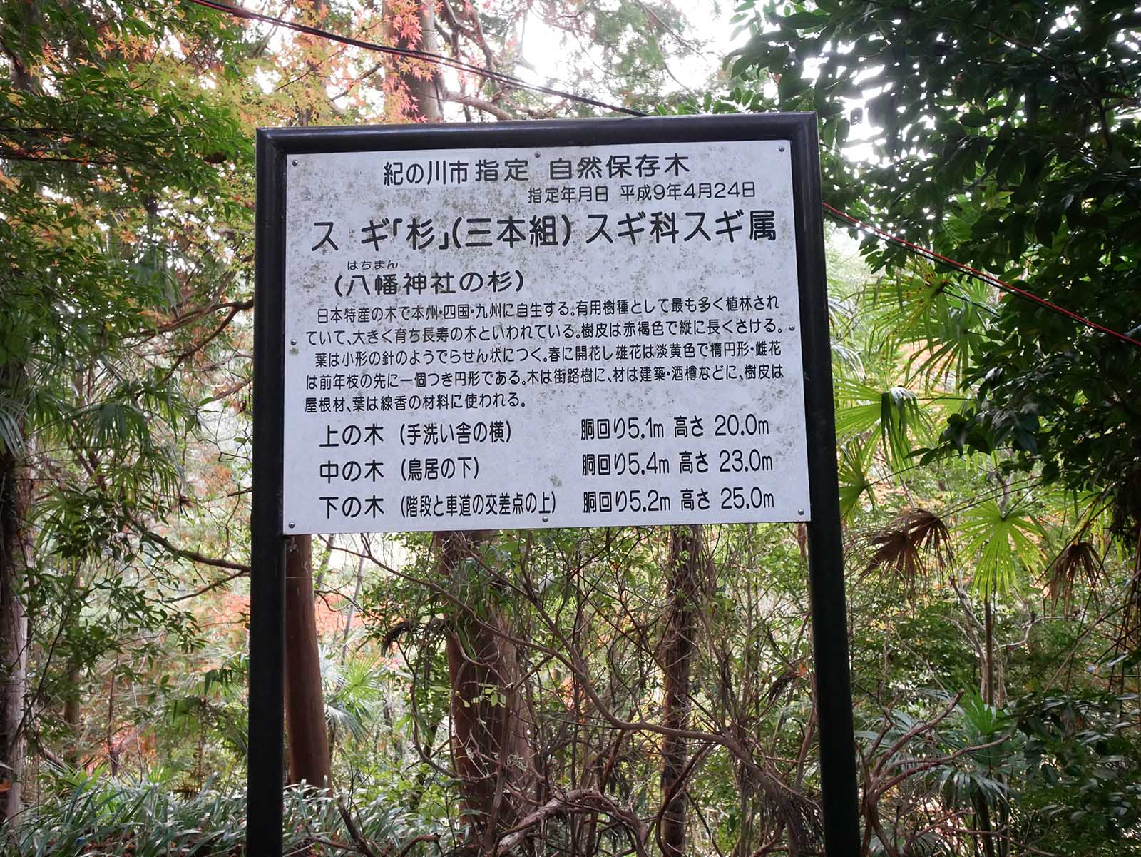 鞆渕八幡神社のスギ看板