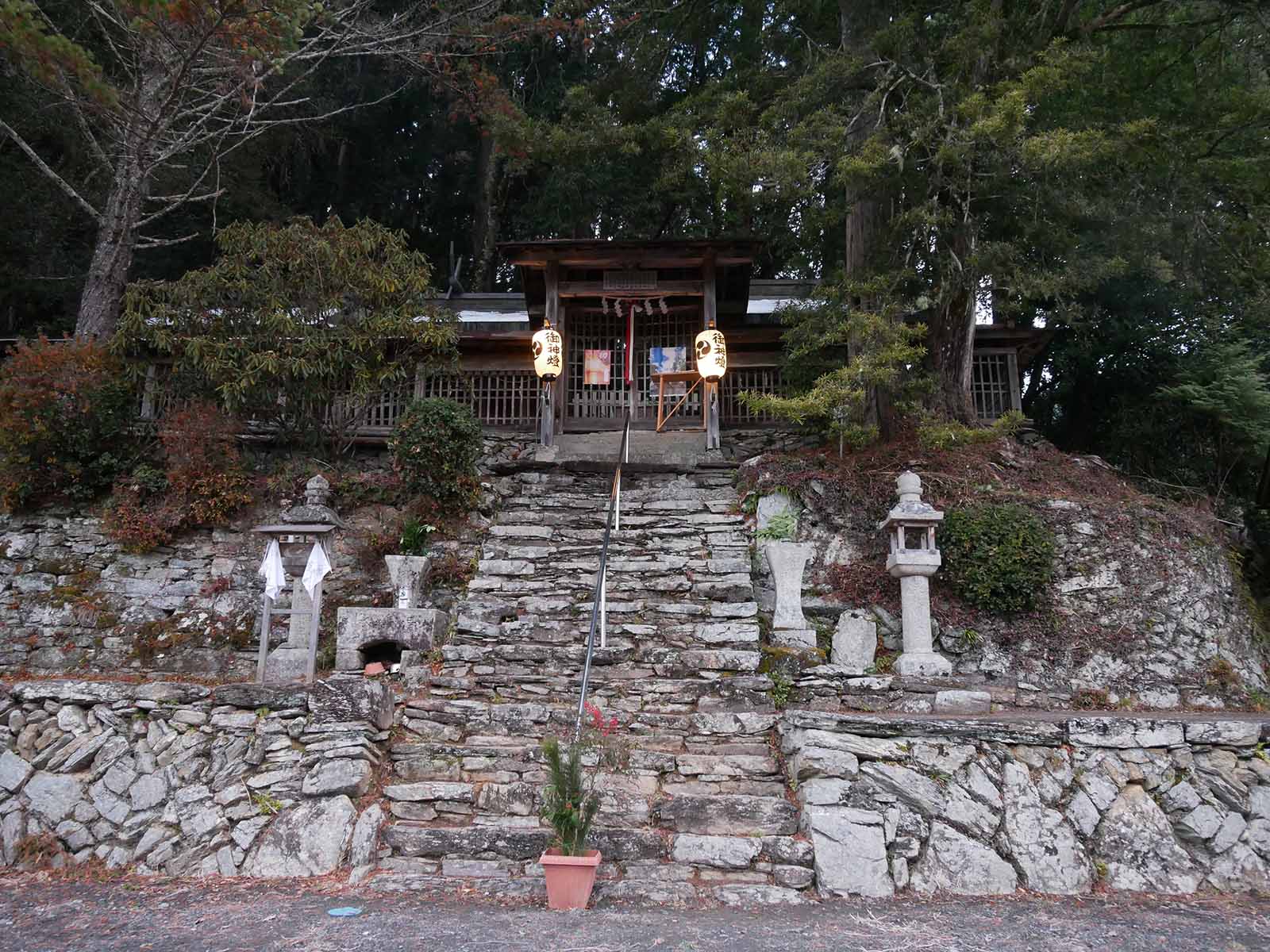 垣内丹生神社のカヤノキ