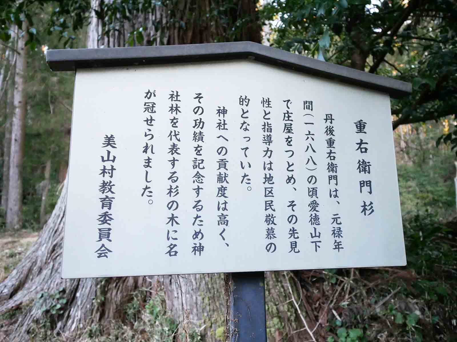 上阿田木神社の重右衛門杉