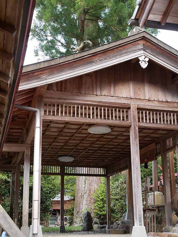 丹生狩場神社の杉ご神木