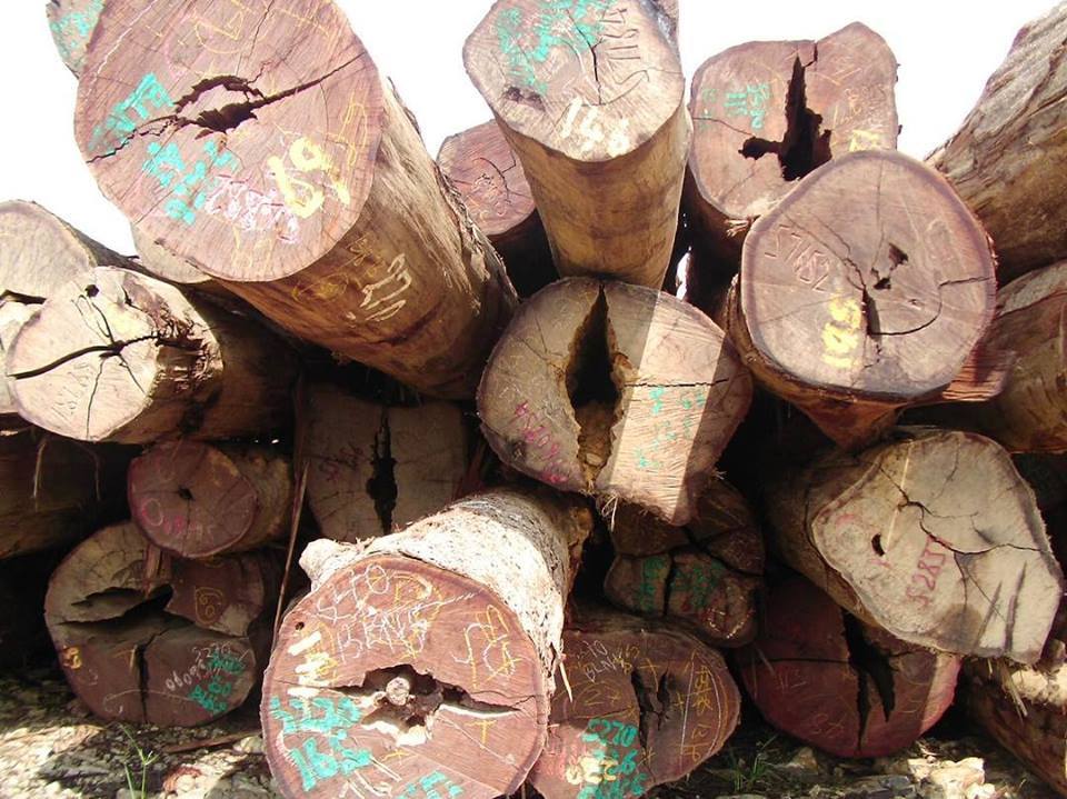土留ウリンデッキを/中川木材産業