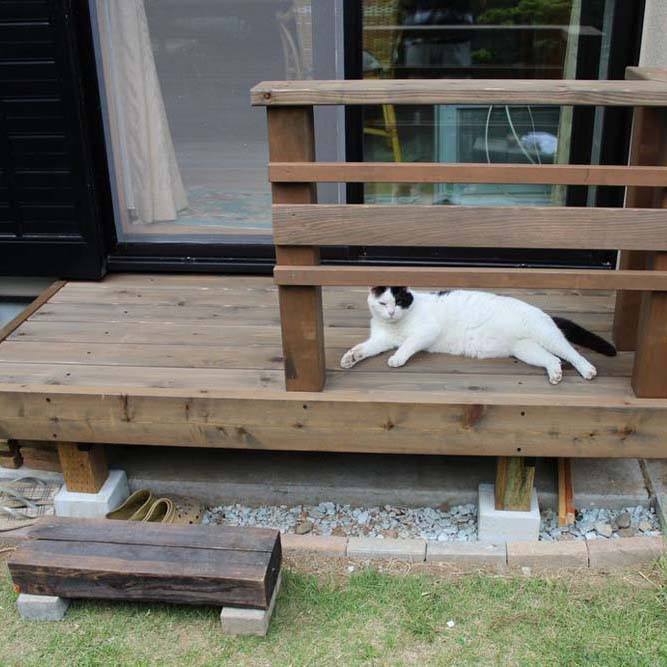 猫も、お気に入りでデッキ/中川木材産業