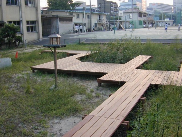 学校のウッドデッキ-中川木材産業製