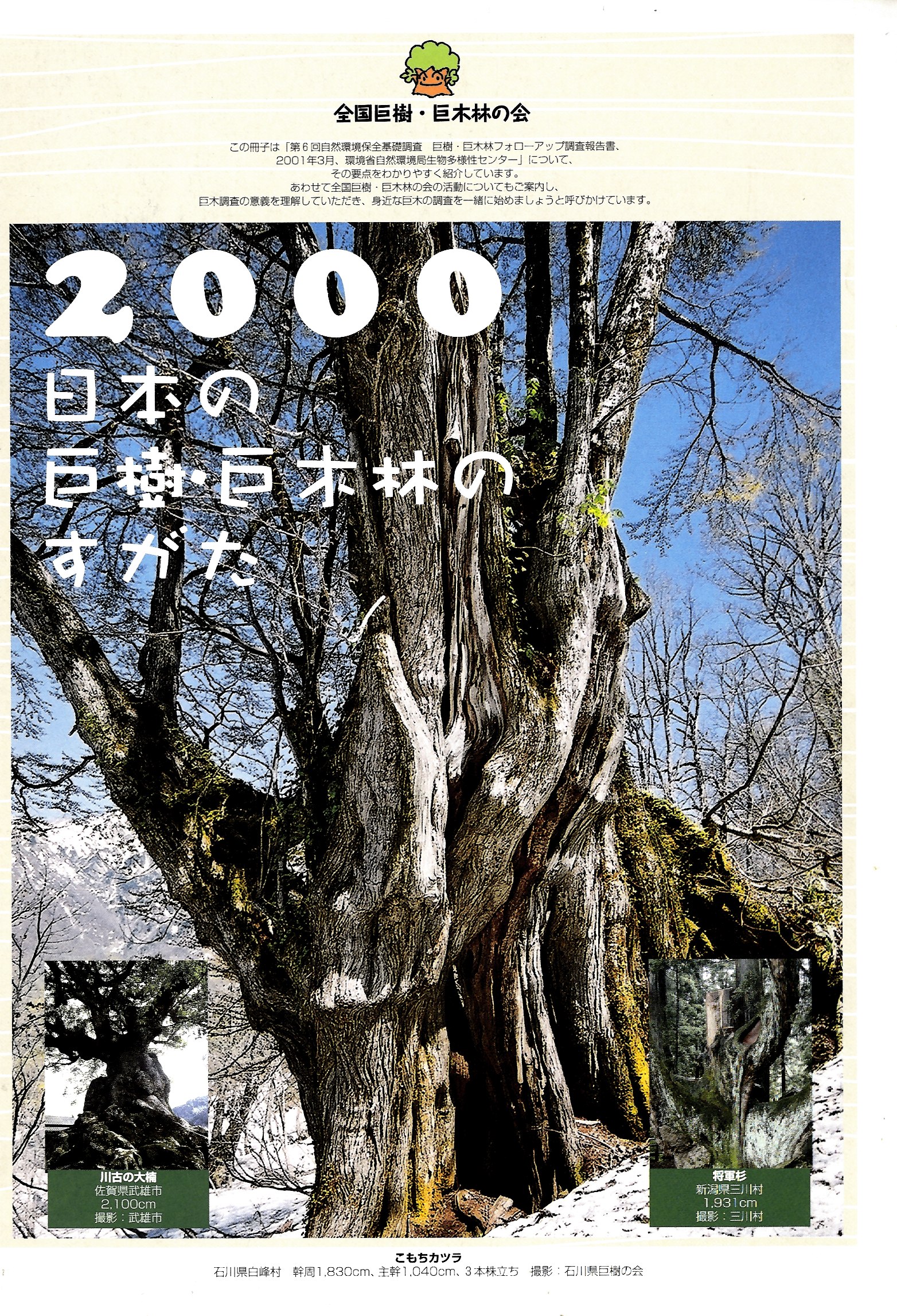 2000日本の巨樹・巨木林のすがた