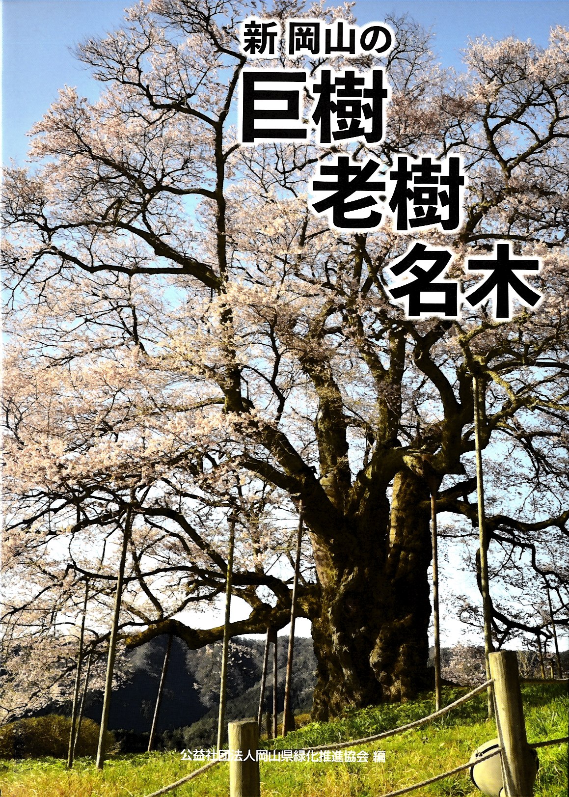 新 岡山の巨樹老樹名木