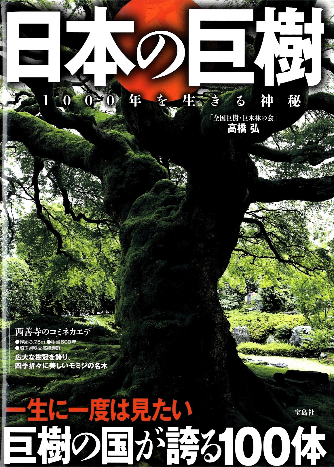 日本の巨樹 ~1000年を生きる神秘|木の書籍|10-木の知識|木の情報発信基地