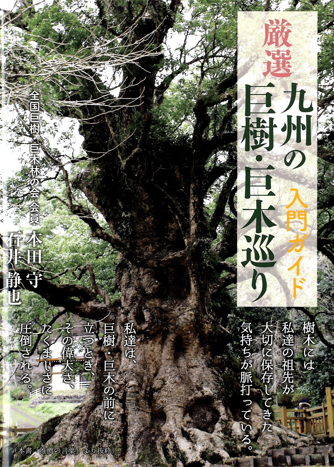 九州の巨樹・巨木巡り 入門ガイド