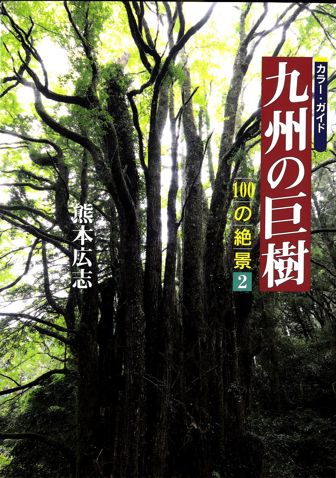九州の巨樹