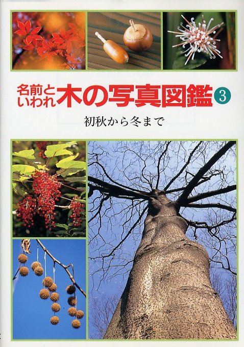 木の写真図鑑(３)