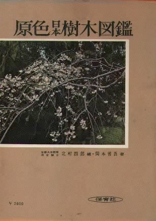 原色日本樹木図鑑