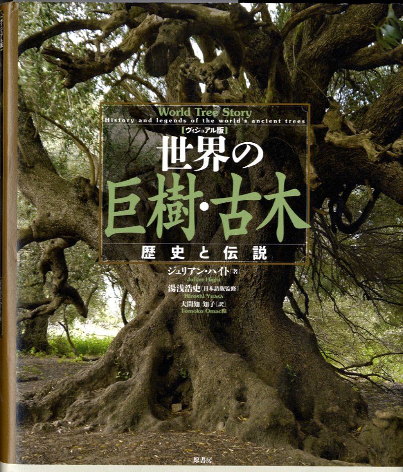 世界の巨樹・古木　　歴史と伝説	