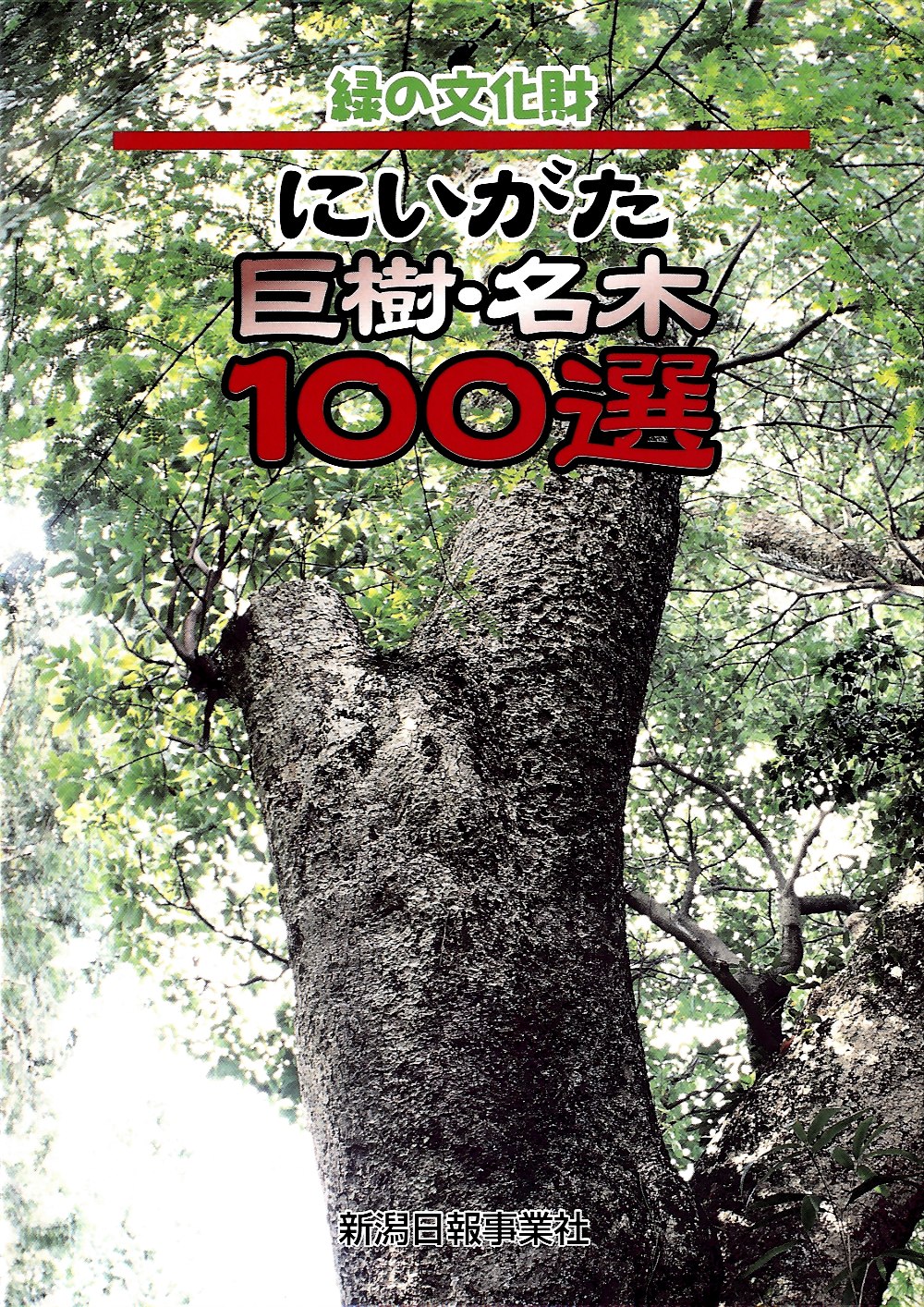 にいがた巨樹・名木1００選 |木の書籍|10-木の知識|木の情報発信基地