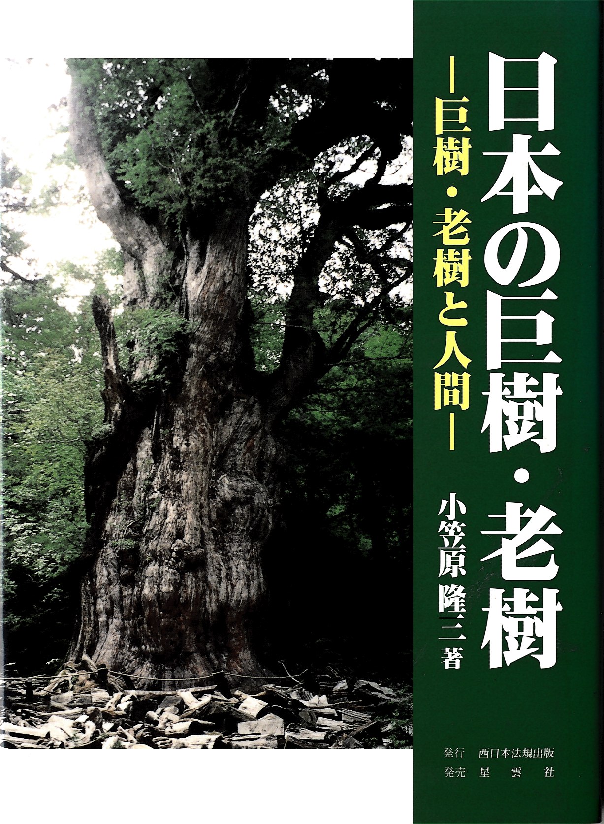 日本の巨樹・老樹