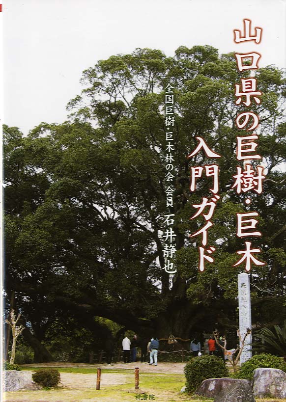 山口県の巨樹・巨木入門ガイド
