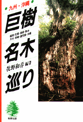 九州･沖縄 巨樹名木巡り