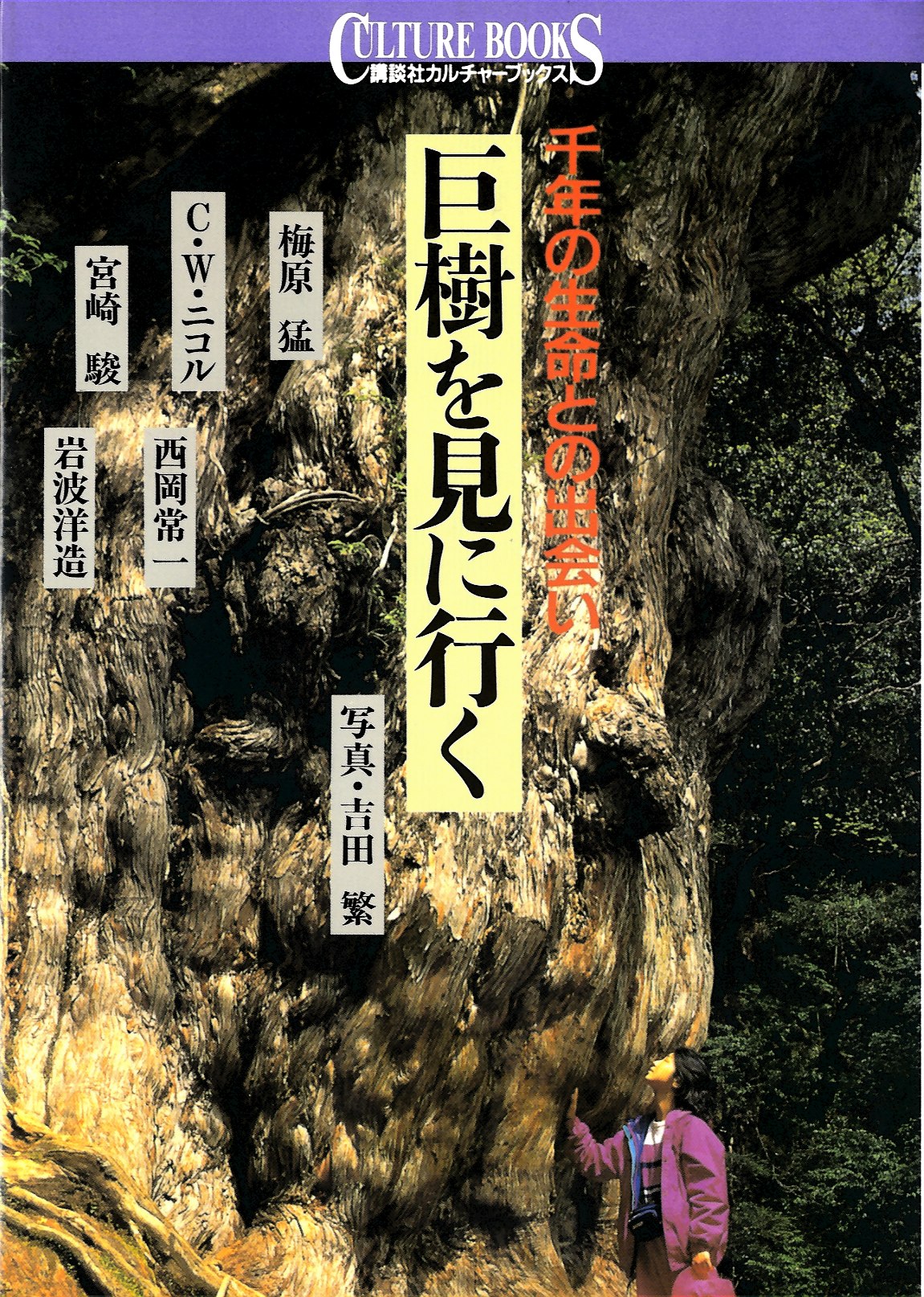 巨樹を見に行く |木の書籍|10-木の知識|木の情報発信基地