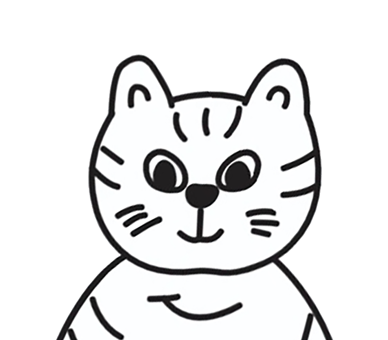 猫
