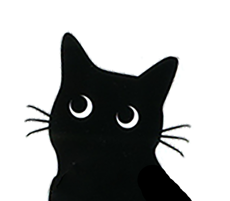 黒猫