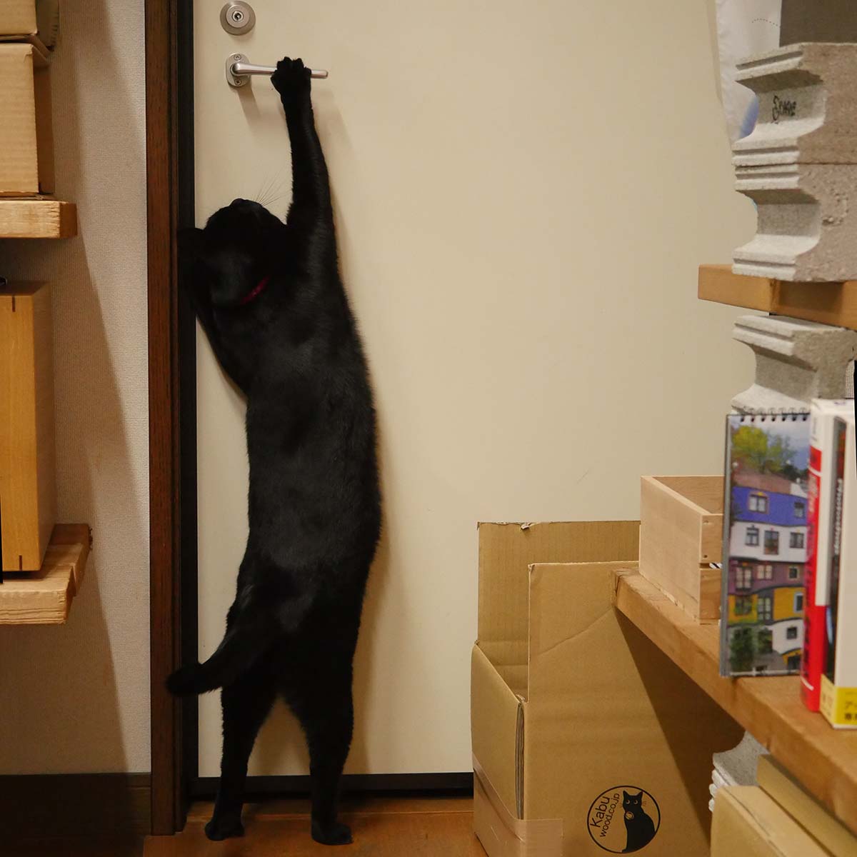 クロネコチョビ