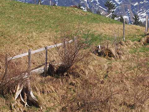 スイス・かなりの急勾配境界フェンス