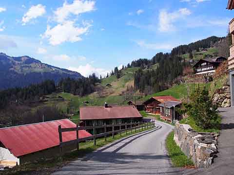 スイスの転落防止境界フェンス