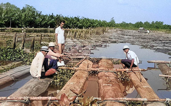 インドネシア カポールの筏